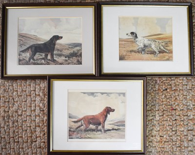 Lot 410 - A group of three aquatints depicting an...