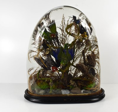 Lot 450 - A Victorian group of exotic birds, comprising...