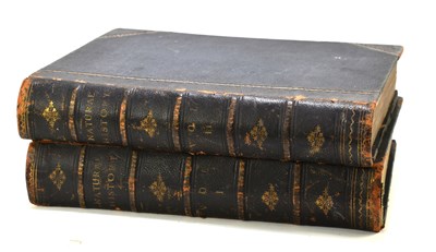 Lot 304 - The Museum of Natural History in two volumes,...