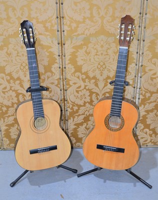 Lot 505 - Two accoustic guitars with stands, Burswood...
