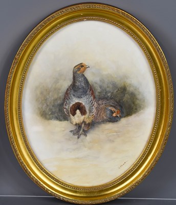 Lot 518 - JAS Stinton, two grouse, watercolour, signed,...