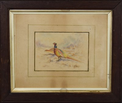 Lot 514 - James Stinton, cock and hen pheasant in...
