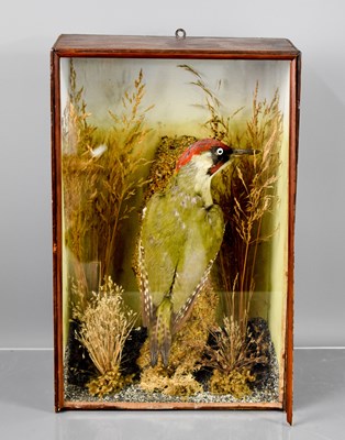 Lot 575 - A taxidermy cased green woodpecker, in a...