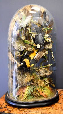 Lot 577 - A Victorian taxidermy group, with eight...