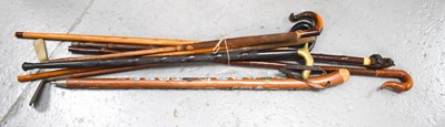 Lot 255 - A selection of walking canes, of various style...