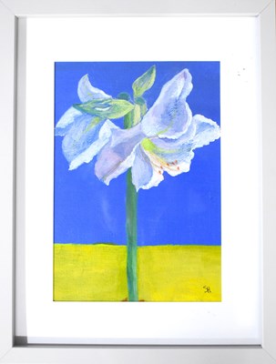 Lot 332 - CHARITY LOT - Shirley Hetherington (20th...