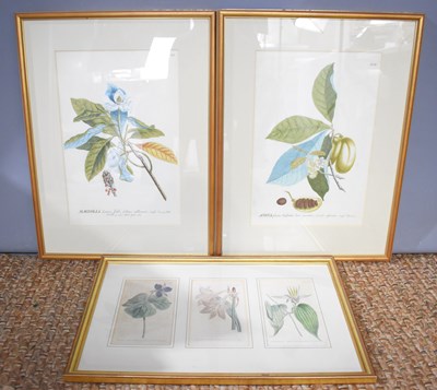 Lot 330 - CHARITY LOT - A group of three botanical...