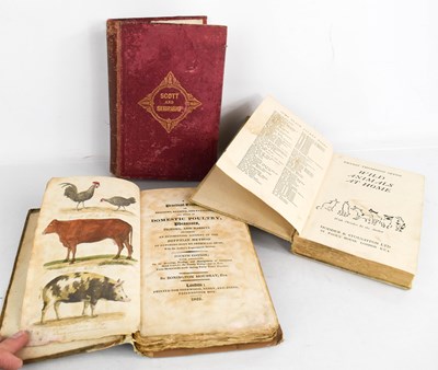Lot 371 - A group of antique books to include A...