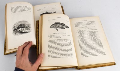 Lot 373 - A History of British Fishes, by William...