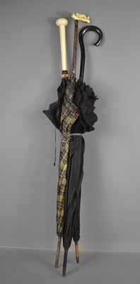 Lot 361 - Three antique umbrellas two with ivory handles,...