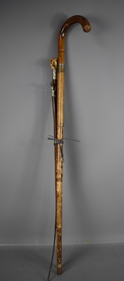 Lot 363 - Three 19th century walking canes, one with...