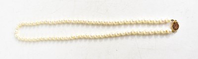 Lot 128 - A 14k gold and pearl Japanese necklace, the...