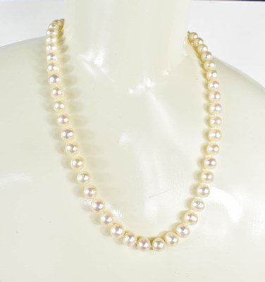 Lot 24 - A 9ct gold and pearl necklace, the 9ct gold...