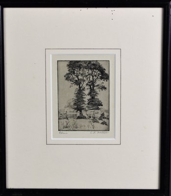 Lot 104 - E K Hallett (Early 20th century): Elms,...