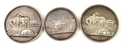 Lot 166 - Three Victorian silver Queen's County...