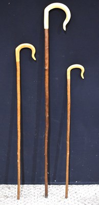 Lot 415 - A group of three shepherds crooks, with horn...