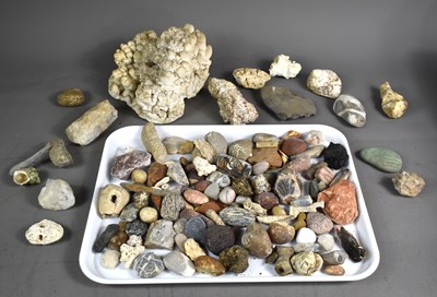 Lot 131 - A large collection of fossils and minerals to...