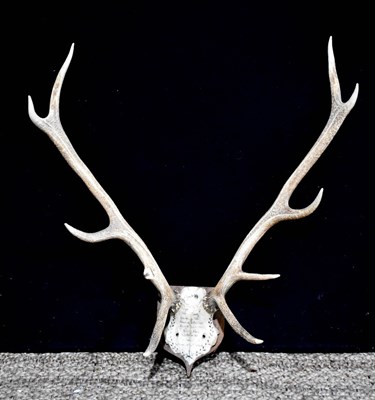 Lot 121 - A pair of French antlers, engraved with...