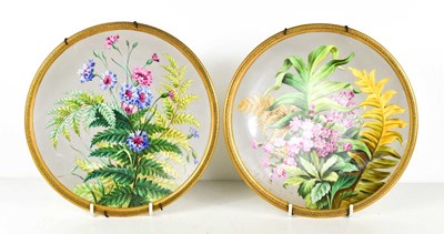 Lot 58 - A pair of fine porcelain hand painted plates...