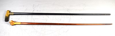 Lot 346 - Two antique walking canes, one with a horn...
