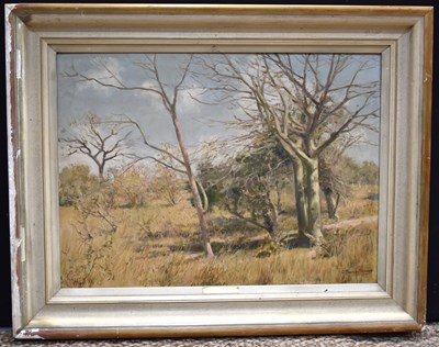 Lot 377 - Cecil Thornley Stewart (SA,1881-1967); oil on...