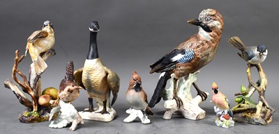 Lot 206 - A group of bisque porcelain birds to include a...