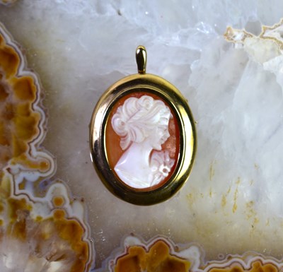 Lot 92 - A gold and shell cameo pendant, testing as 9ct.