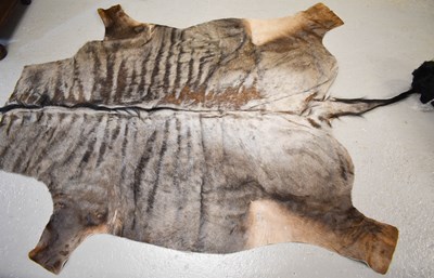 Lot 439 - A wildebeest hide rug.