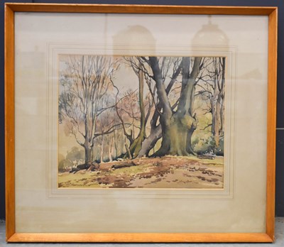 Lot 408 - A watercolour on paper, woodland landscape.