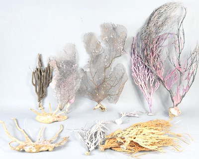 Lot 90 - A group of antique coral branch specimens of...